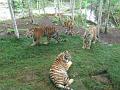 zoo 139